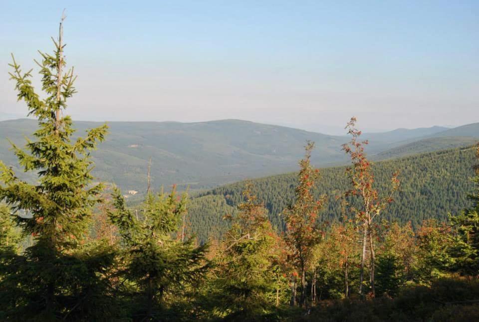 Dom Goscinny Finezja Свєрадув-Здруй Екстер'єр фото