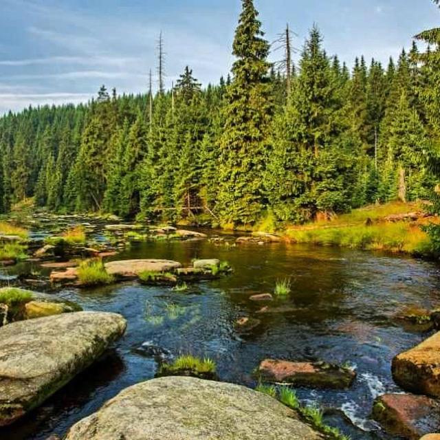 Dom Goscinny Finezja Свєрадув-Здруй Екстер'єр фото